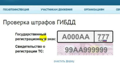 как проверить штрафы гибдд по номеру машины бесплатно