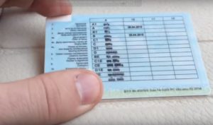 как проверить права на лишение по базе гибдд онлайн