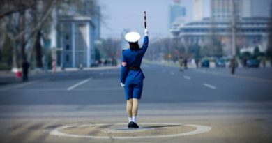 Сигналы и жесты регулировщика в картинках
