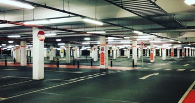 Сколько можно бесплатно стоять на платной парковке в Москве