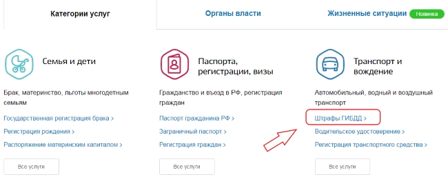 Обжалование штрафа ГИБДД онлайн: через госуслуги