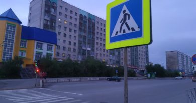 Правила проезда пешеходного
