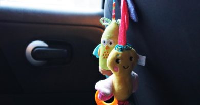 Детские удерживающие устройства для авто