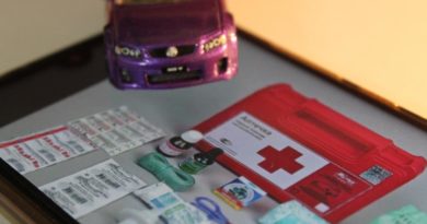 Состав автомобильной аптечки по ГОСТ