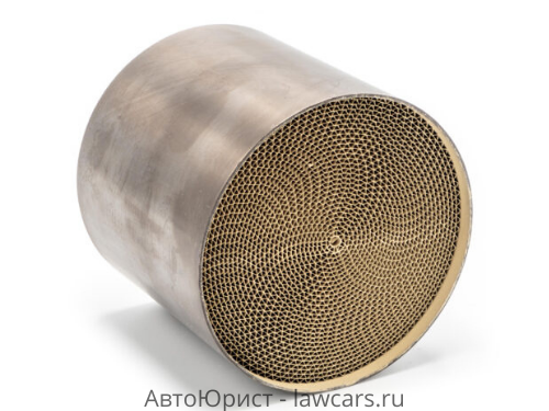новый спортивный катализатор