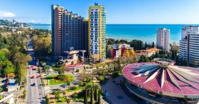 Какую лучше выбрать недвижимость в Сочи?